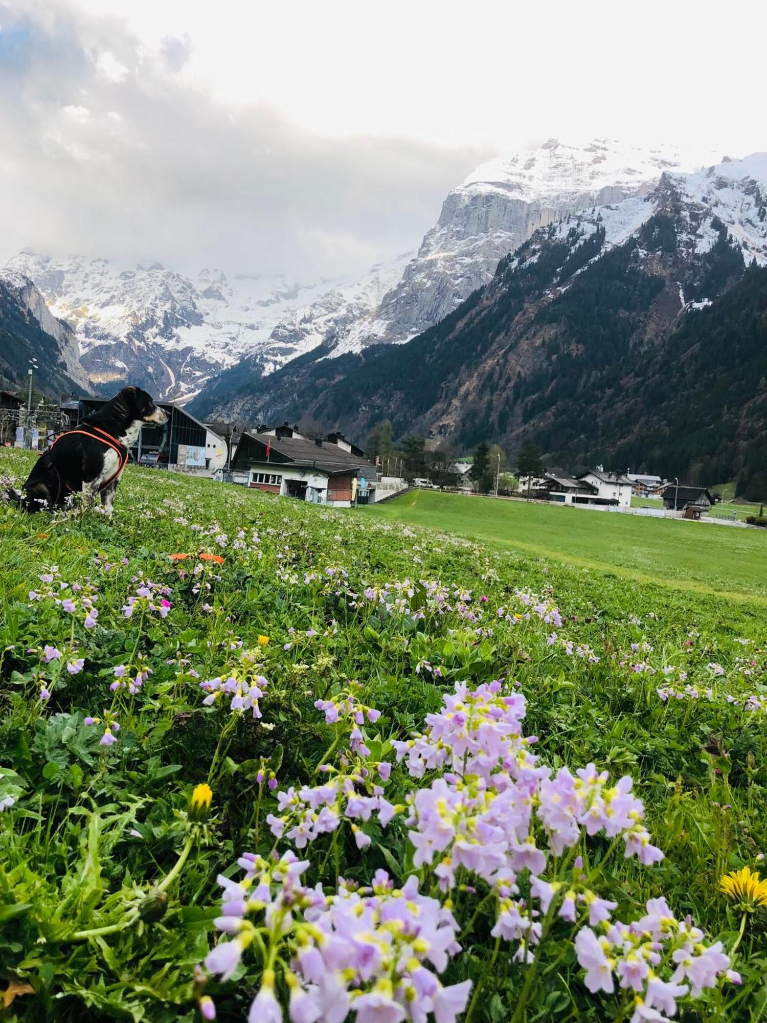 Hostel Engelberg "Mein Trail Hostel" Exterior foto